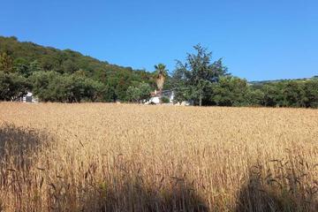 Photo 64