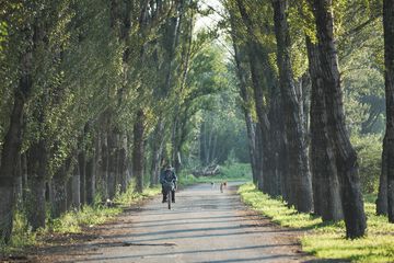 Ecotours