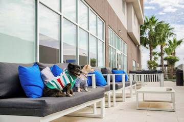 Rooftop terrace