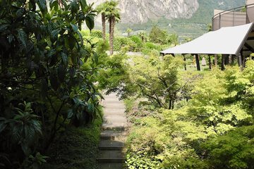 Park view