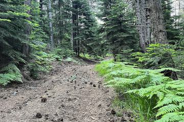 Hiking