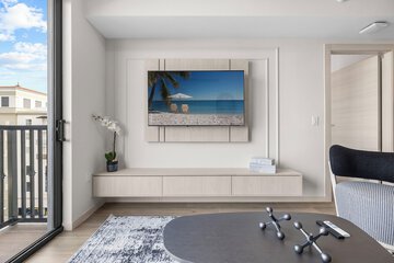 Television