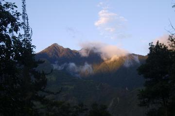 Photo 44