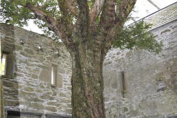 Photo 32