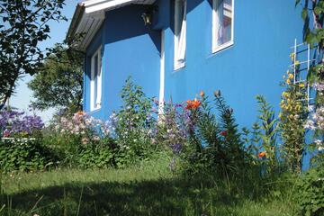 Photo 43