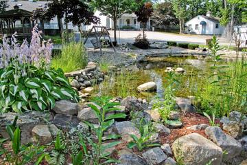 Photo 28