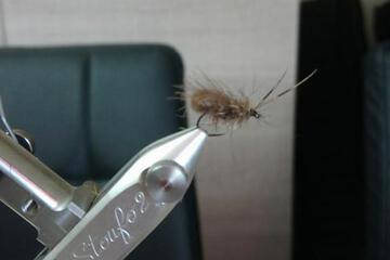 Photo 34