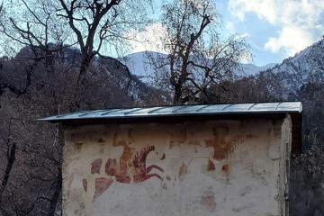 Photo 14