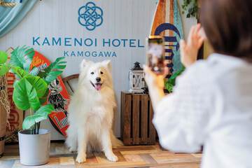 Pet-friendly amenities