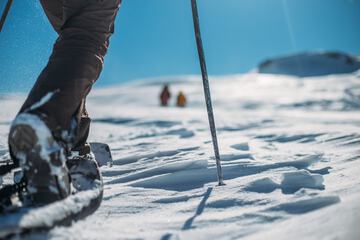 Snowshoeing