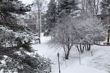 Courtyard view