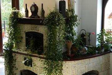 Photo 40