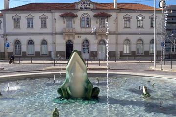 Photo 41