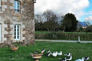 Photo 42