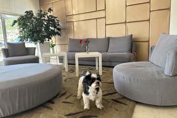 Pet-friendly