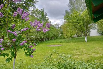 Photo 66