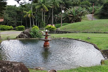 Fountain