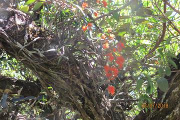 Photo 28
