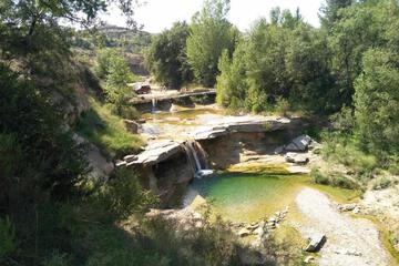 Photo 32