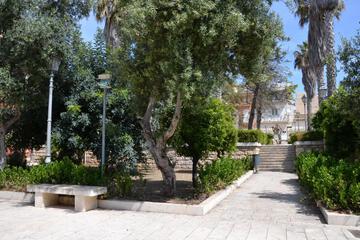 Photo 38