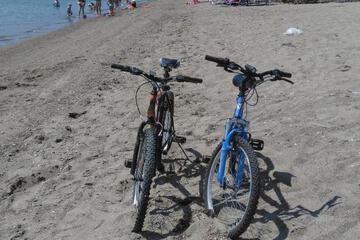 Photo 39