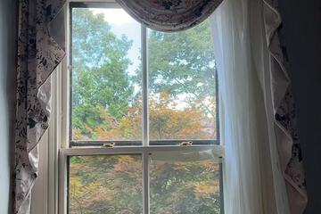 View from room
