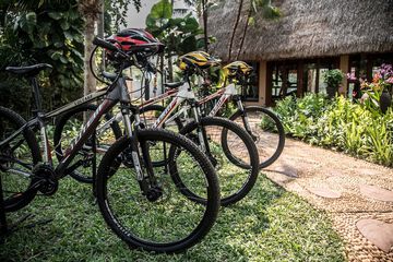 Bicycling