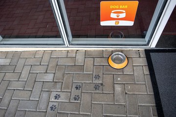 Pet-friendly amenities