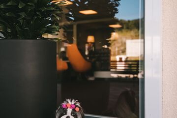 Pet-friendly