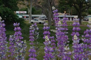 Photo 43