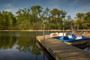 Lake view