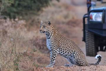 Game drive