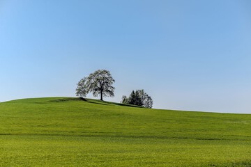 Hiking