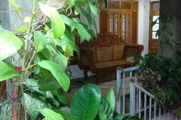 Photo 61