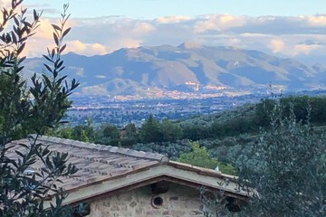 Land view from property