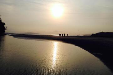Photo 41