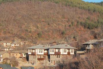 Photo 46