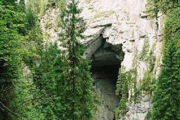 Photo 24