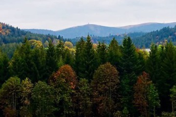 Land view from property