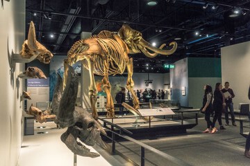 Children's activities