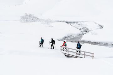 Snowshoeing