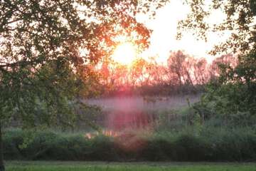Lake view