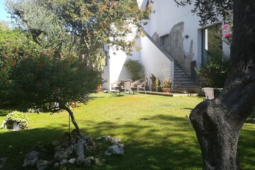 Photo 49