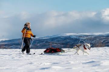 Sledding
