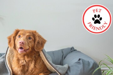 Pet-friendly amenities