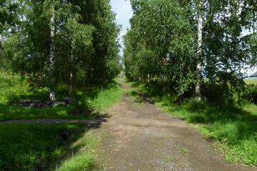 Photo 25