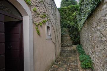 Photo 36
