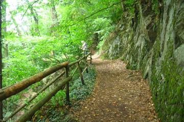 Photo 44