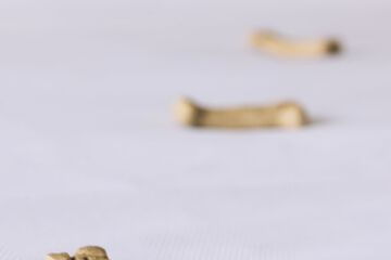 Pet Friendly 84 of 90