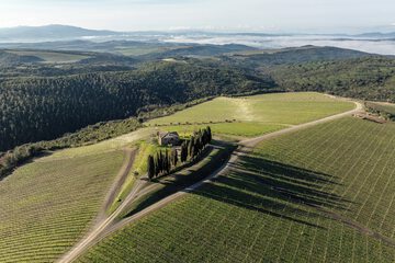 Winery